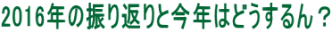 2016年の振り返りと今年はどうするん？