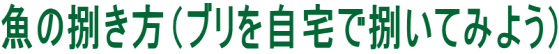 魚の捌き方(ブリを自宅で捌いてみよう)