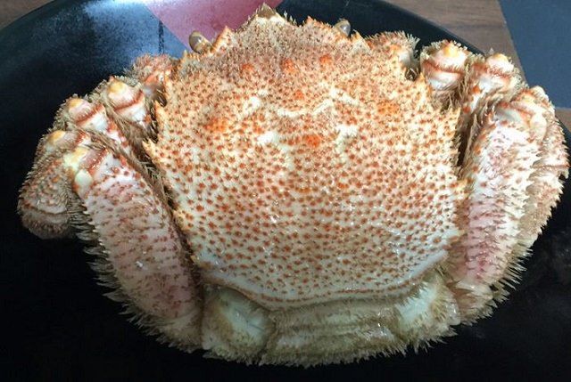 北海道地場の味の評判は？