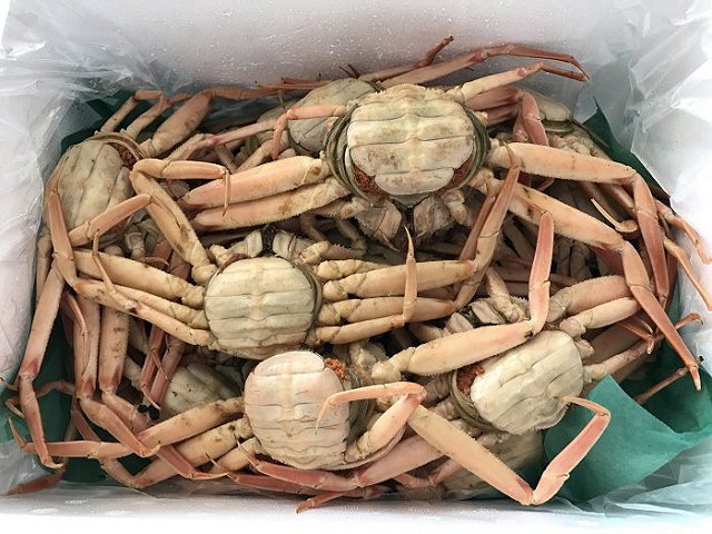 国内水揚げの本物セコガニが買えるお店